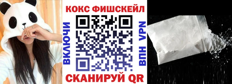 Кокаин FishScale  Купить закладки  Валдай 