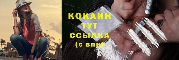 крисы Армянск
