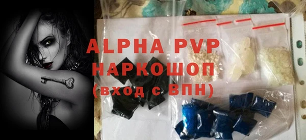 spice Аркадак
