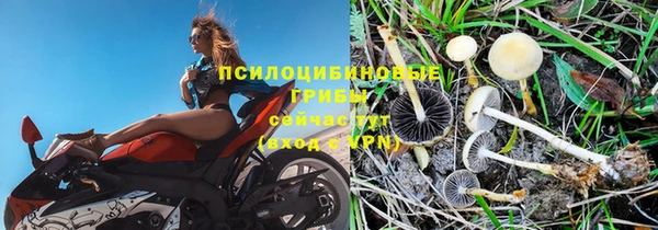 крисы Армянск